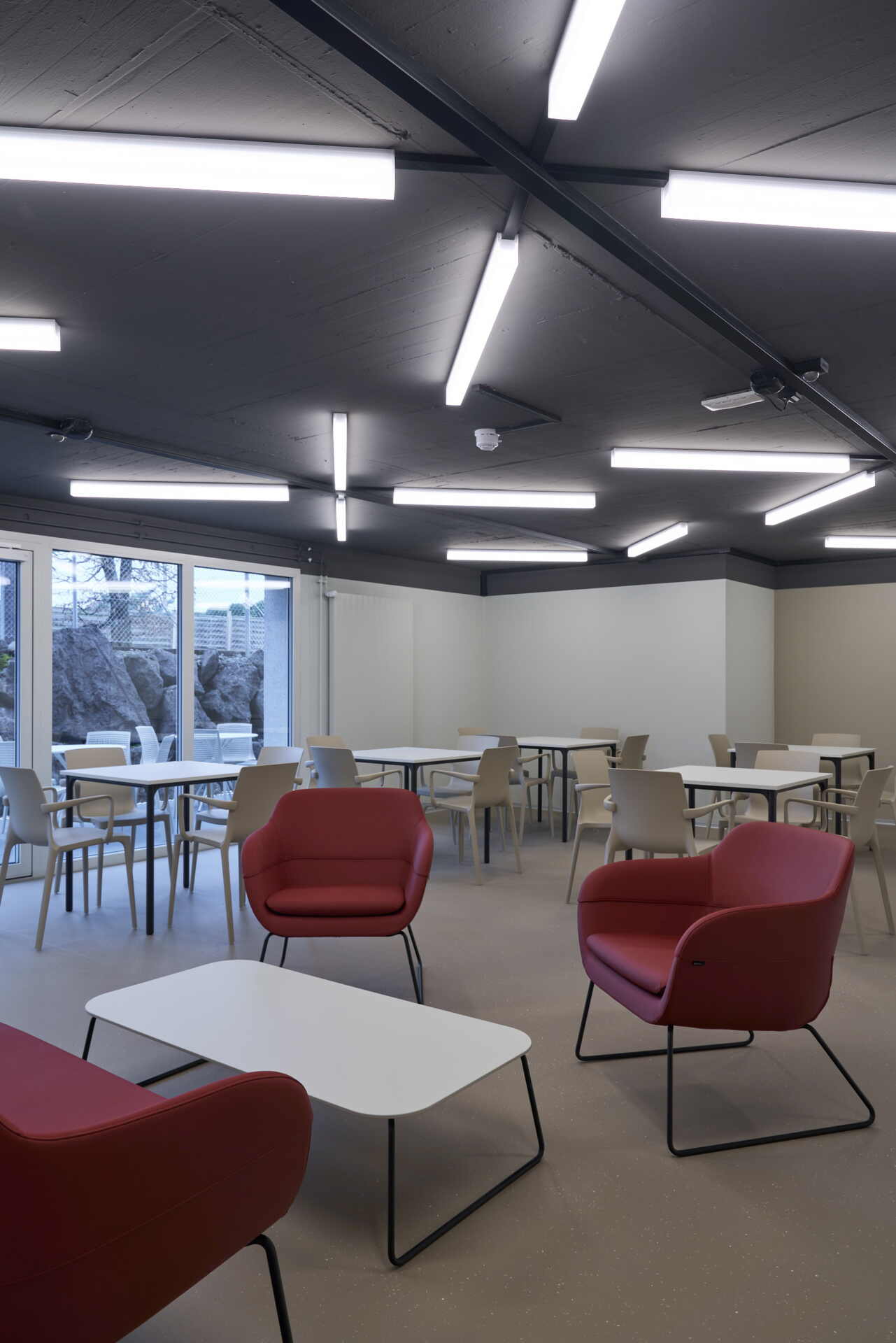 Zoom: 2321_fortisa_web_08.jpg