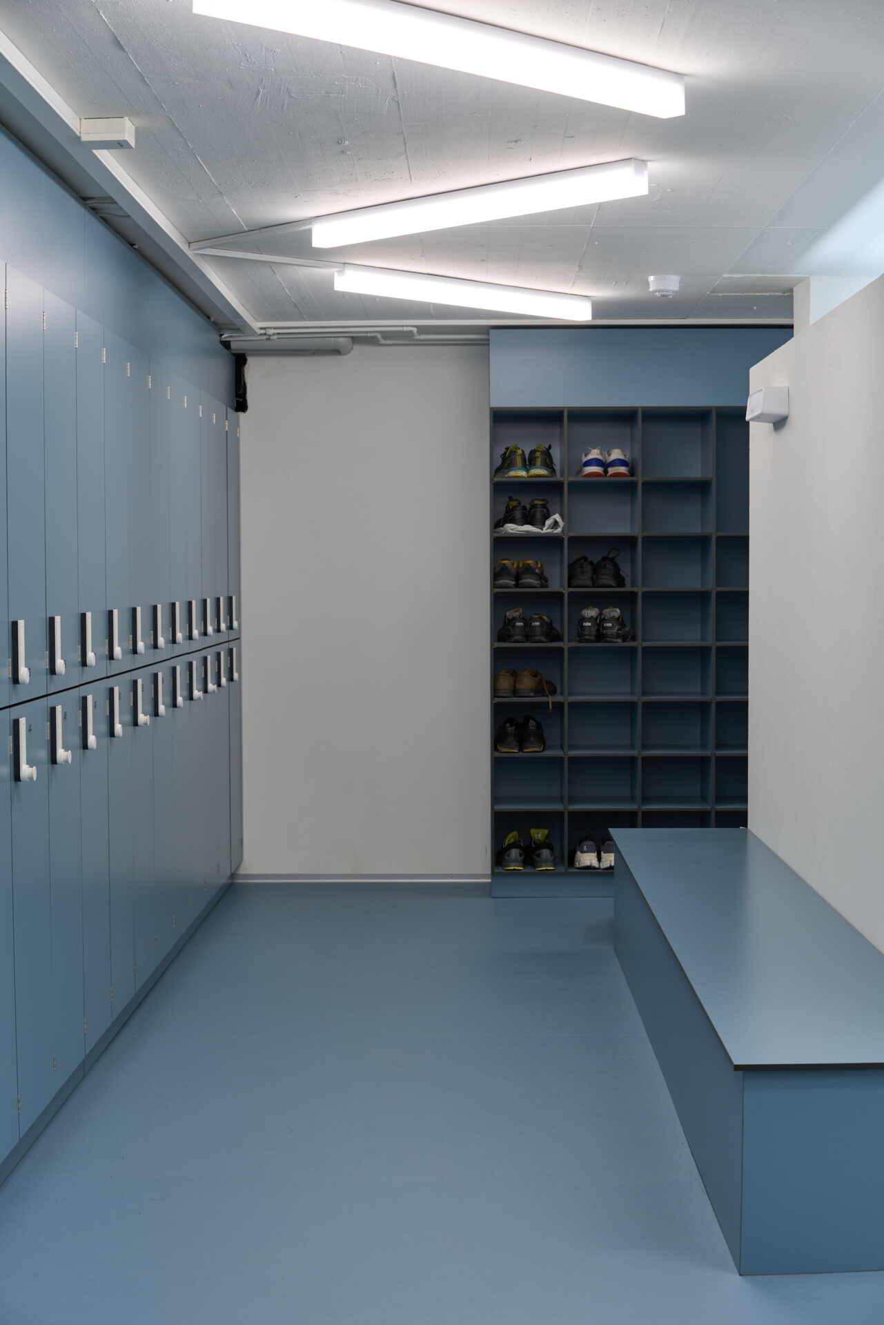 Zoom: 2321_fortisa_web_11.jpg