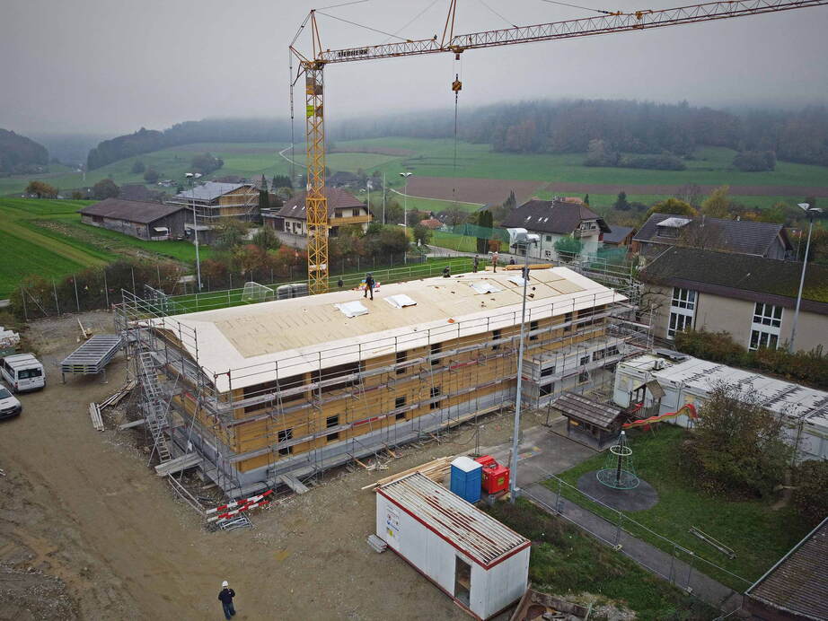 Zoom: grasswil02.jpg
