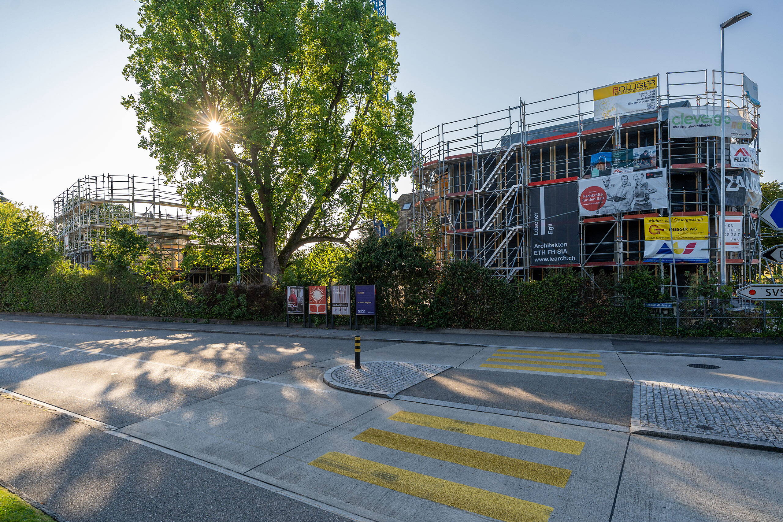 Zoom: dsc7497.jpg