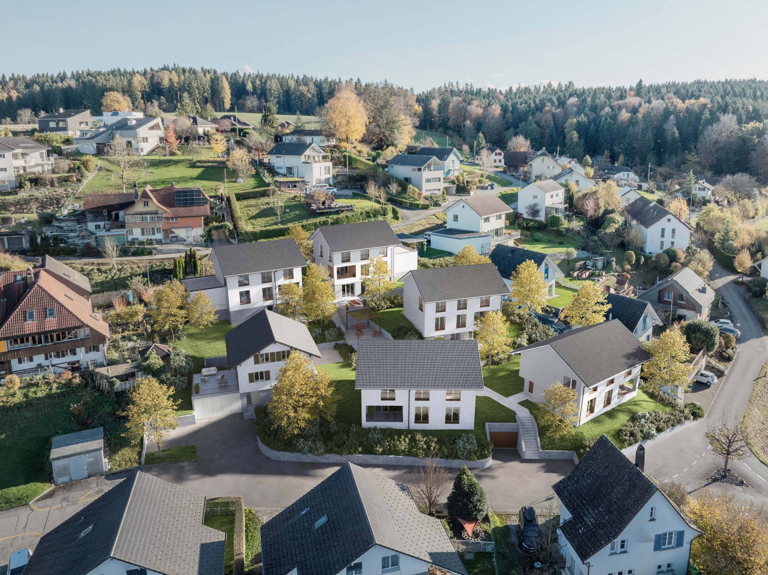 Zoom: schmittenstrasse_visu_1.jpg