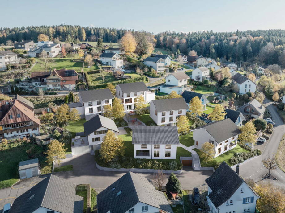 Zoom: schmittenstrasse_visu_1.jpg